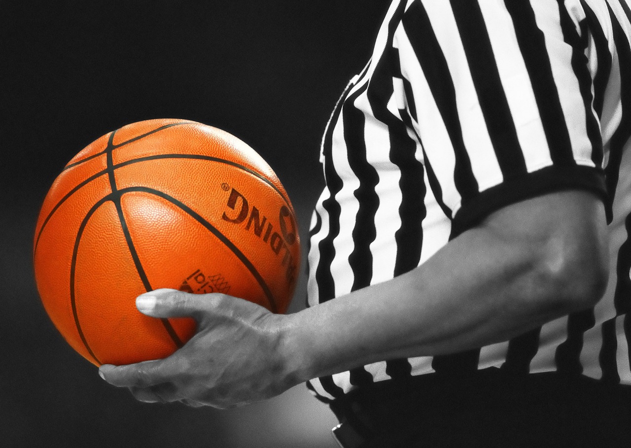 Basketball, referee, game, orange, ball, sport, team, american, male, person, gray team, gray gaming, gray sports, gray game, gray games, gray basketball, basketball, basketball, basketball, basketbal