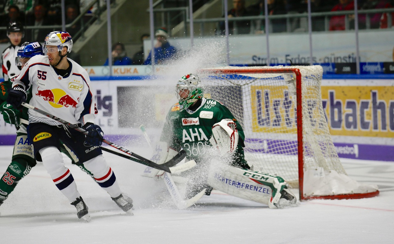 Ice hockey, sports, puck, game, competition, athlete, ice hockey, ice hockey, ice hockey, ice hockey, ice hockey