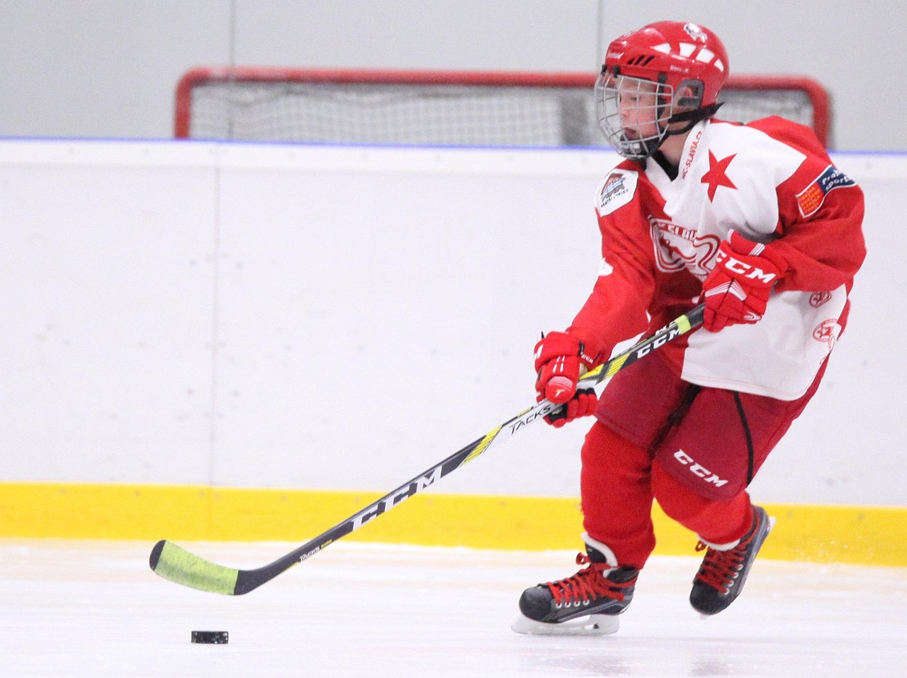 Hockey, slavia, skater, hockey player, winter, winter sports, winter sport, joy, hockey stick, captain, puck, ice, skating, sport, training, hockey, hockey, hockey, hockey, hockey, hockey player