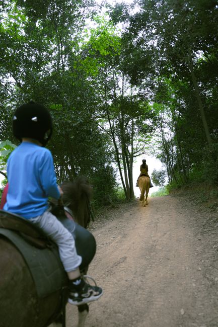 Children riding horses through a lush forest pathway in daylight.