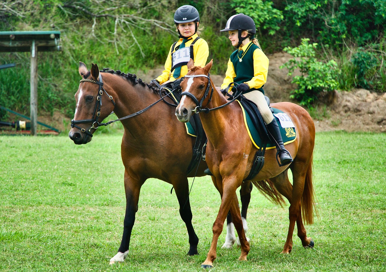 Horseback riding, horses, children, kids, young, riders, junior, equestrian, equine, horse riding, sport, horseback riding, horseback riding, horseback riding, horseback riding, horseback riding, chil