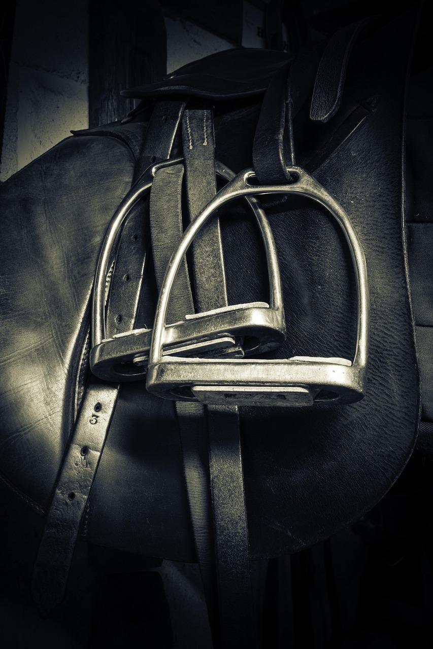 Stirrups, nature, saddle, equestrian, horse, leather, sport, equipment, riding, strap, horseback, equine, ride