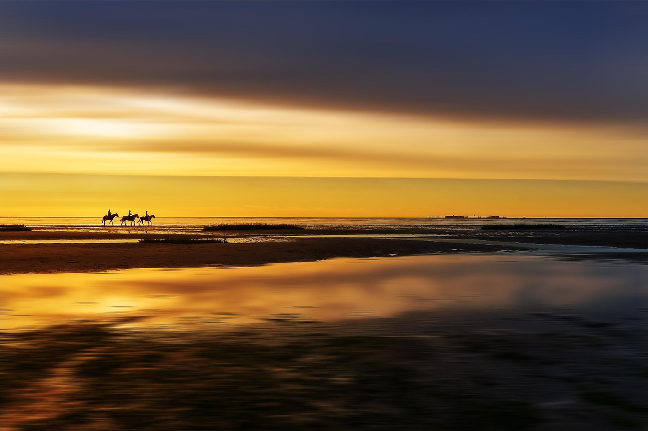 Beach, horse riding, sunset, coast, silhouette, sea, ocean, reflection, water, shore, nature, riders, equestrian, vacation, summer, dusk, dark, scenic, north sea, wadden sea, beach, horse riding, hors