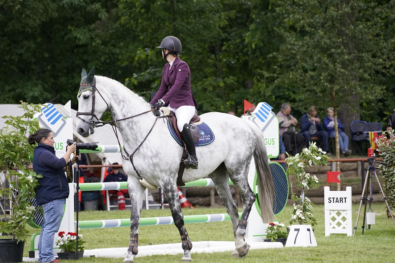 Show jumping, horseback riding, equestrian, horse, animal, nature, competition