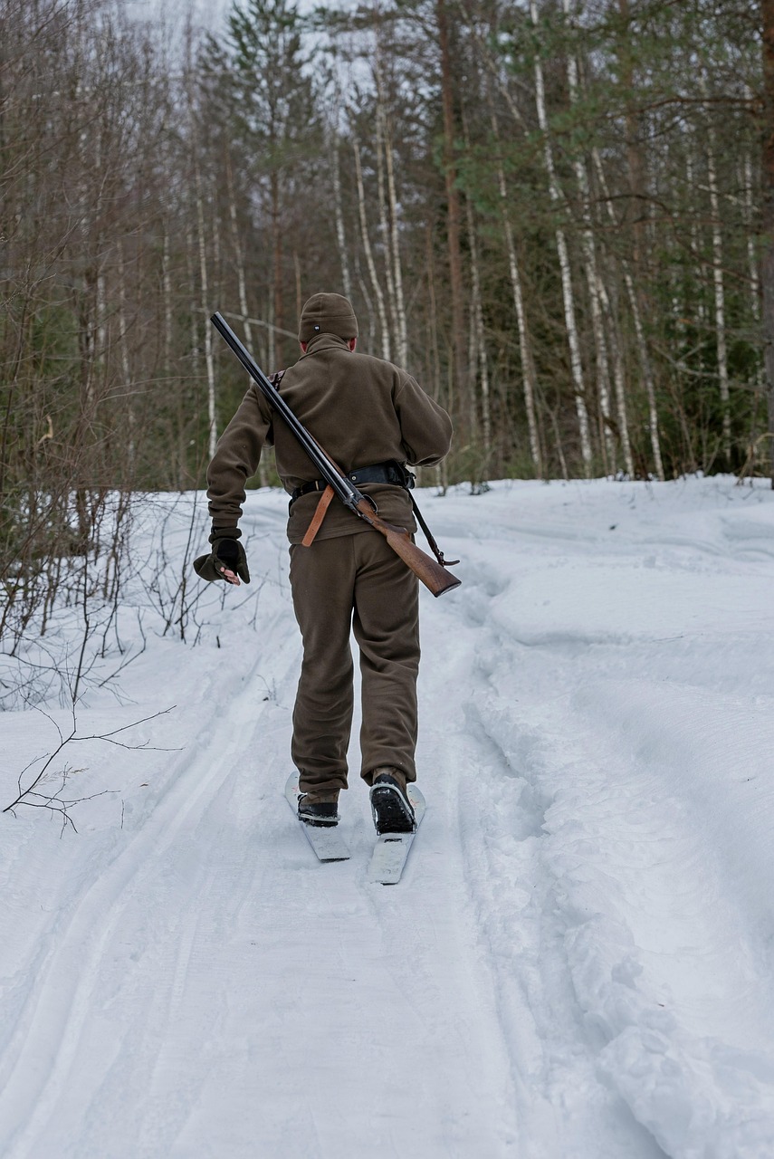 Man, hunting, hunter, forest, skiing, security, nature, winter