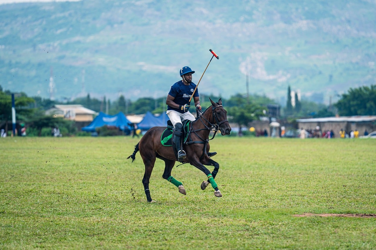 Polo, horse, rider, mallet, game, green grass, outdoor, equestrian sport, helmet, competitive, person, landscape, competition, motion, leather, skill, nature, professional, natural, speed
