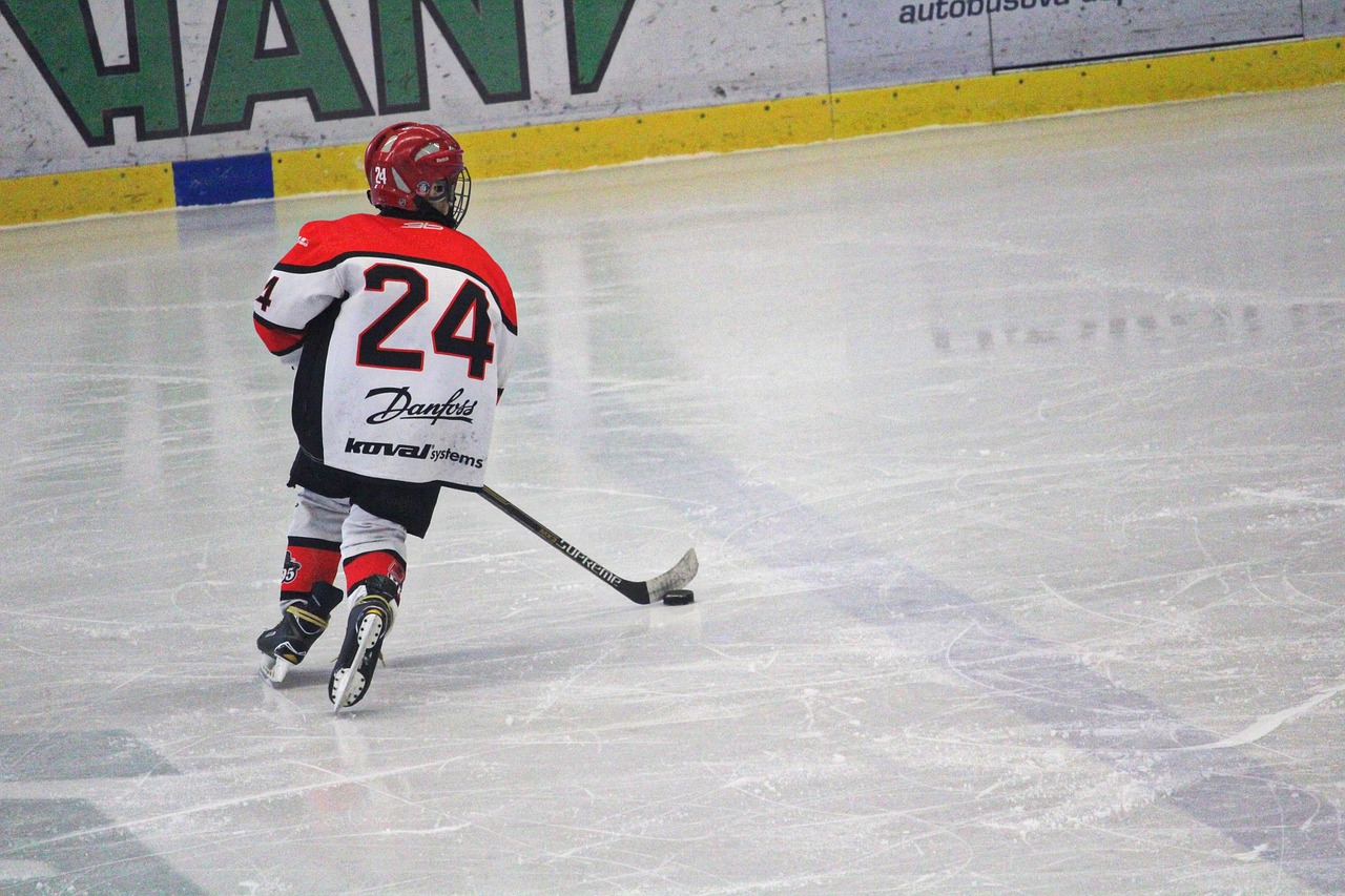 Hockey, pupils, children, hockey player, match, sport, boy, ice, stadium, hockey stick, puck, skater, team, athlete, activity, sports, a child, skates, winter, ice hockey, younger pupils, slovakia, ho