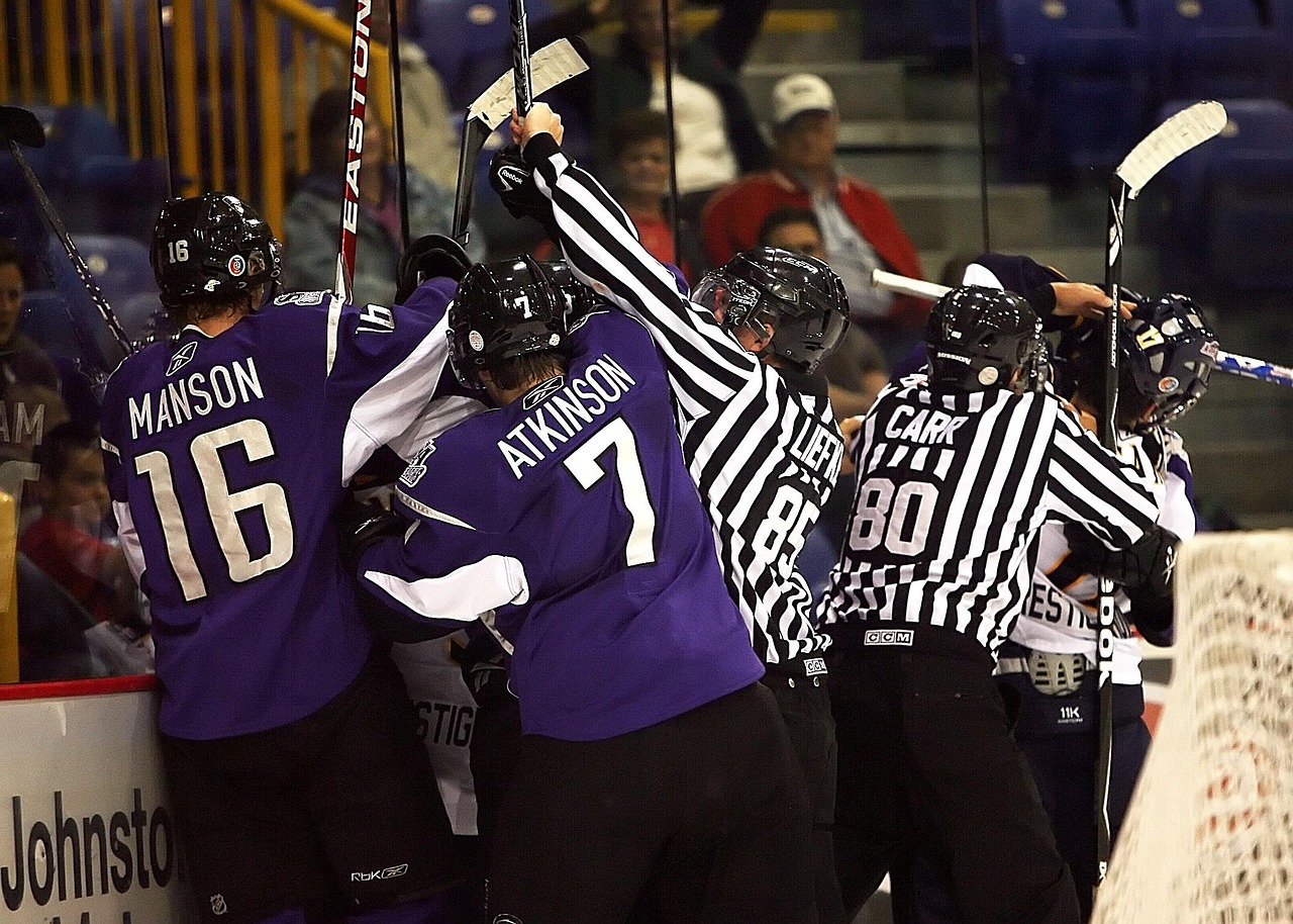 Hockey, referee, hockey referees, fight, altercation, penalty, sport, player, ice, activity, hockey stick, helmet, game, hockey player, ice hockey, rink, team, action, stick, arena, hockey rink, men, 