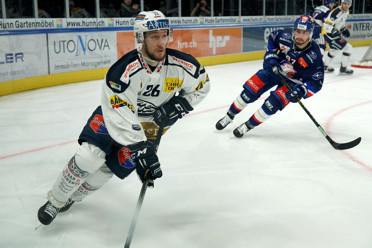 Hockey, ice hockey, ice hockey players, winter sports, game, athletes, hockey match, hockey, hockey, hockey, hockey, hockey, ice hockey, ice hockey, ice hockey, ice hockey