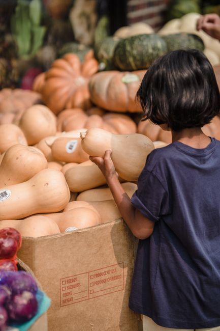 A child selecting pumpkins at an outdoor market during the fall season.