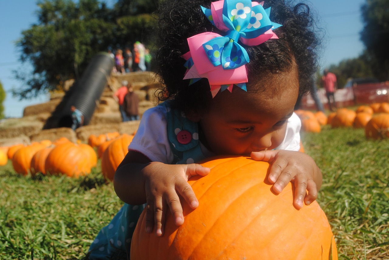 Pumpkin patch, girl, baby, pumpkin, autumn, halloween, harvest, child, patch, orange, fall, farm, october, jack-o-lantern, kid, seasonal, squash, season, pumpkin patch, pumpkin patch, pumpkin patch, p