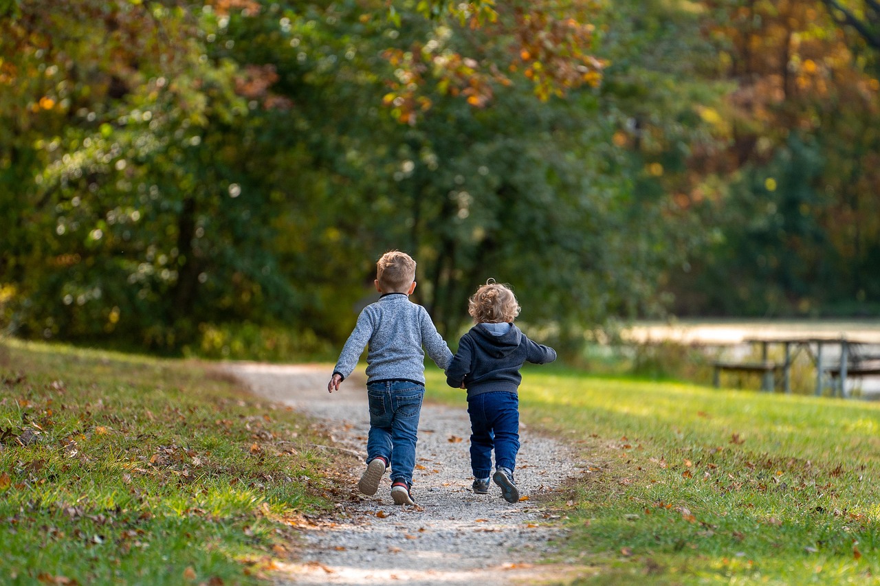 Boys, children, path, trail, park, brothers, trees, leaves, autumn, fall, kids, nature, fun, childhood, friends, grass, playing, run, running, friendship day, friendship, children, children, children,