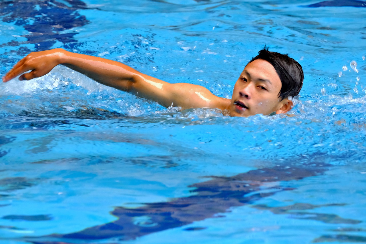 Swimming, athlete, pool, young man, freestyle stroke, sport, competition, swimming pool, swimming, swimming, swimming, swimming, swimming, swimming pool