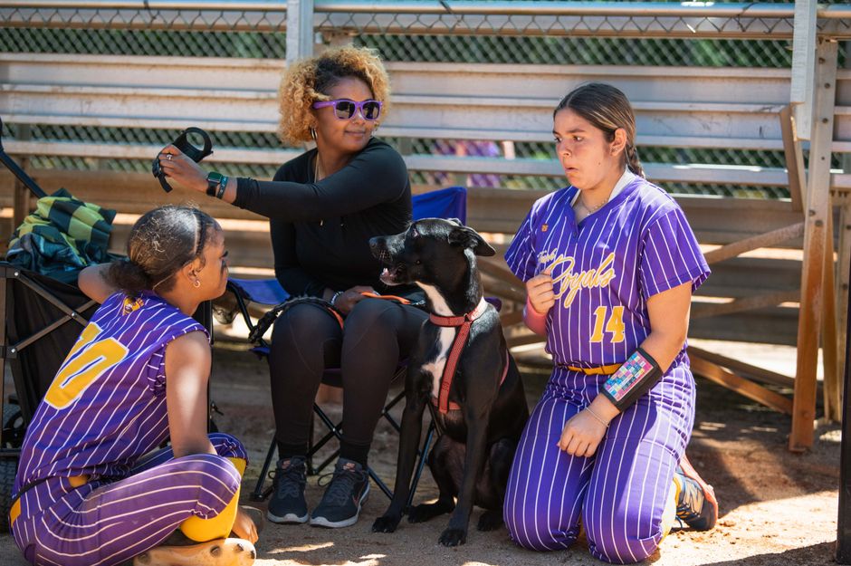 Two young softball players in uniform with coach and dog in dugout, sunny day.