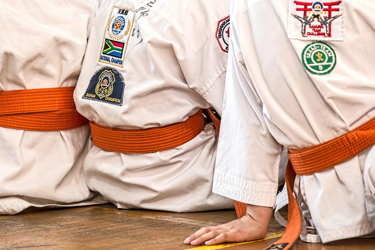 Karate, uniform, athletes, sitting, belt, orange belt, karategi, martial arts, sport, competition, defense, training, fitness, activity, karate, karate, karate, karate, karate, martial arts, martial a