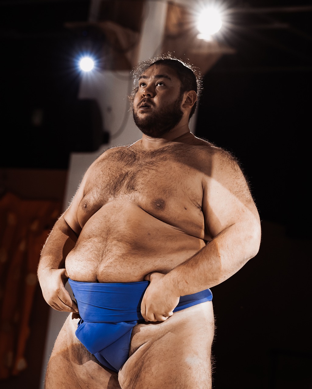 Sumo, japanese wrestler, traditional, man, pose, traditional sport, martial arts, mawashi attire, lighting, abdomen, physical strength, competition, wrestling, sports event, japanese culture, traditio