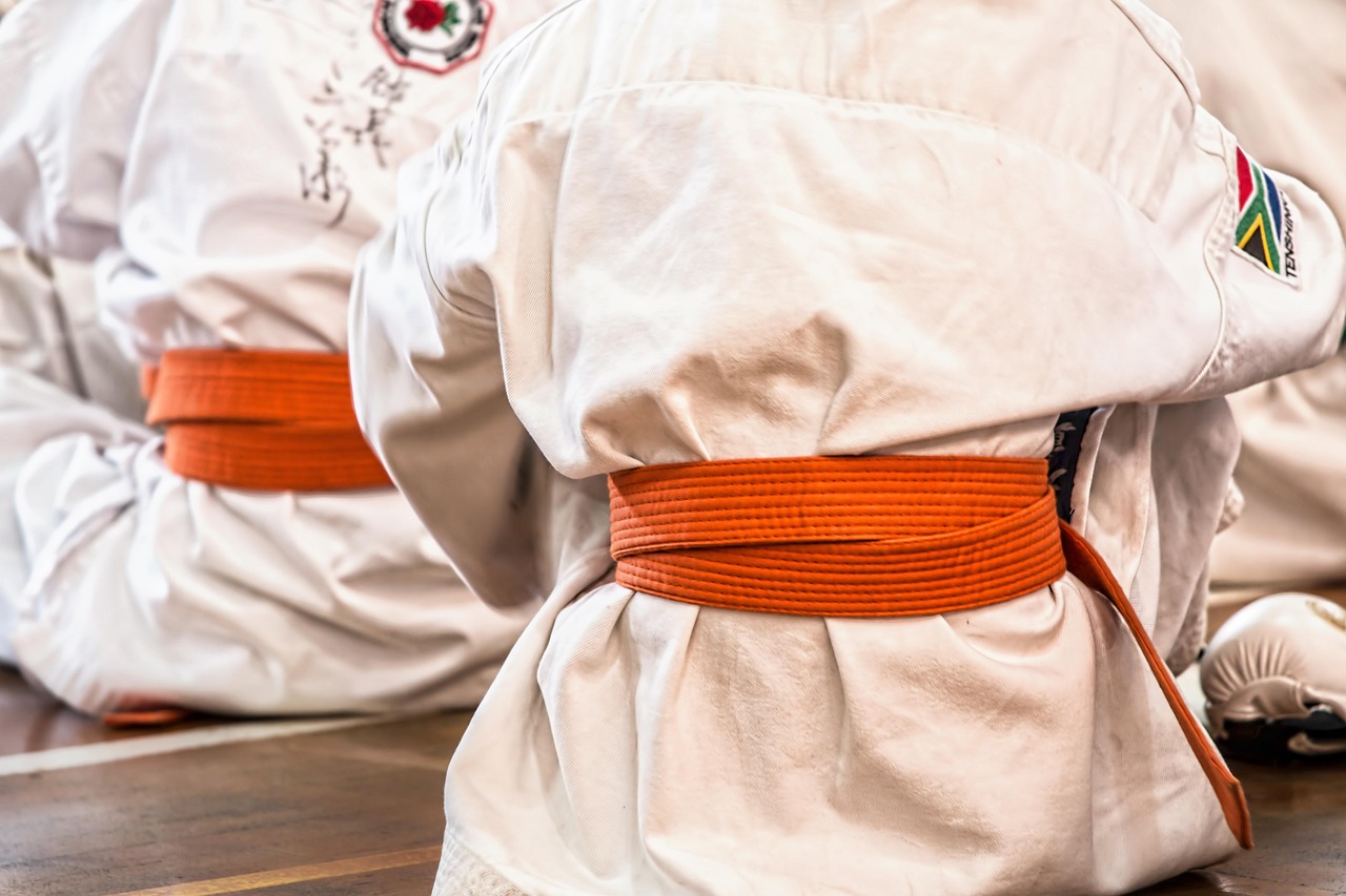 Karate, martial arts, sport, belt, competition, defense, training, fitness, activity, workout, active, healthy, lifestyle, karate, karate, karate, karate, karate, martial arts, martial arts