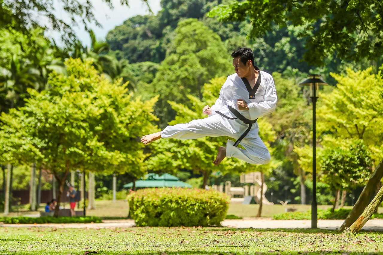 Martial arts, kung fu, kick, asia, flying, jump, martial arts, martial arts, martial arts, martial arts, martial arts, kung fu, kung fu, kung fu, kung fu