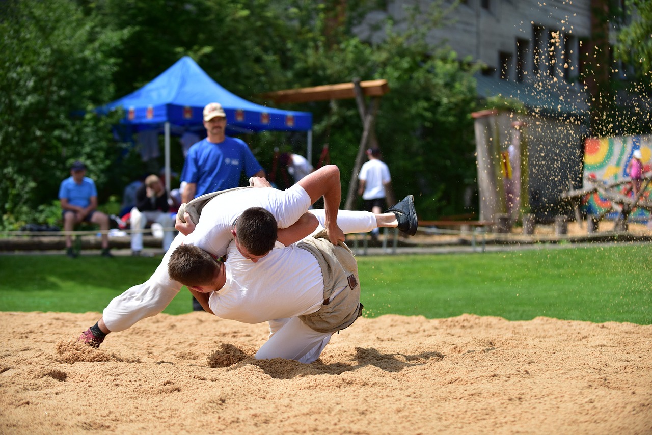 Sports, swing, wrestle, competition, martial arts, wrestle, wrestle, martial arts, martial arts, martial arts, martial arts, martial arts