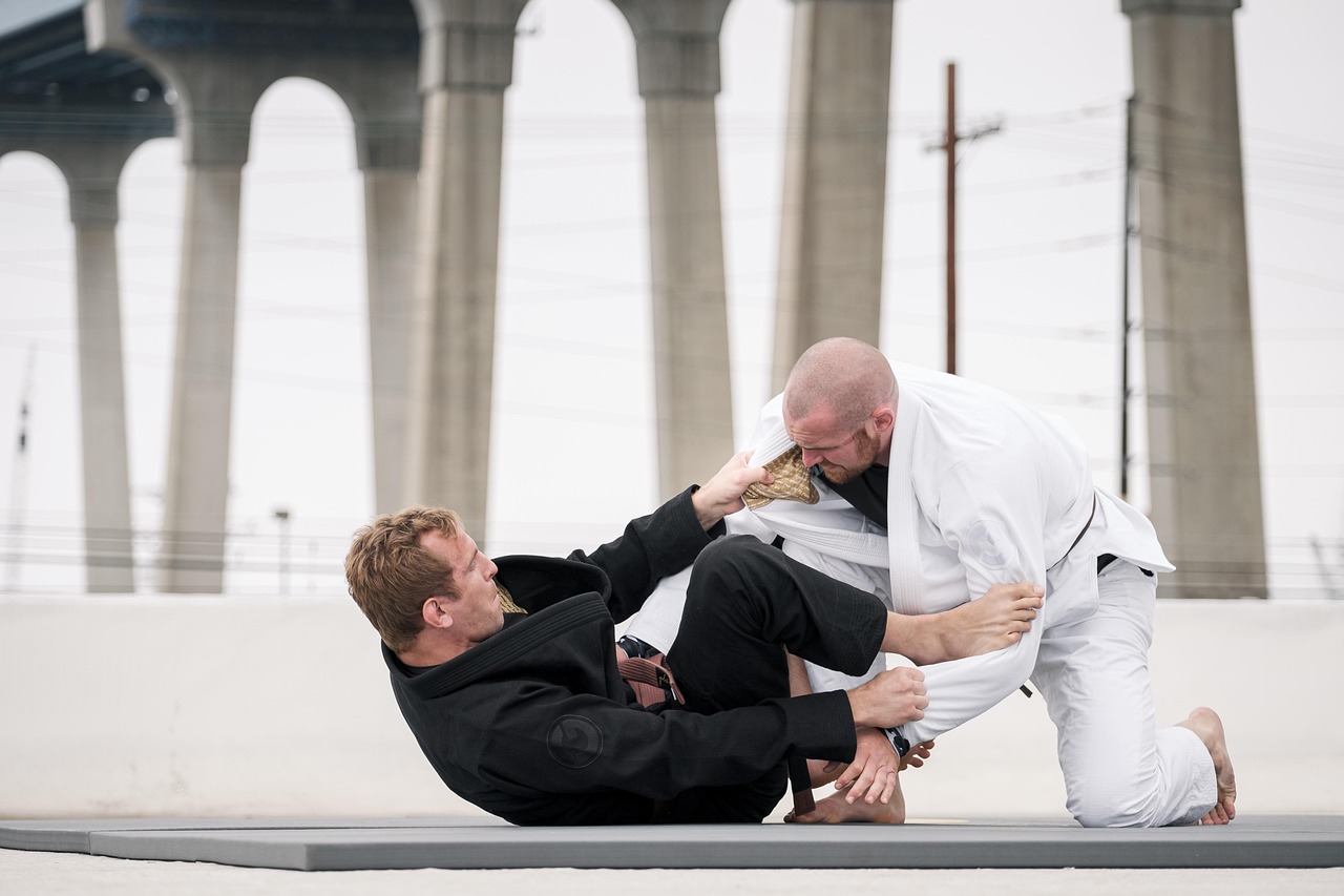 Men, jiu-jitsu, jujutsu, sports, athlete, fight, mma, fight, fight, fight, fight, fight
