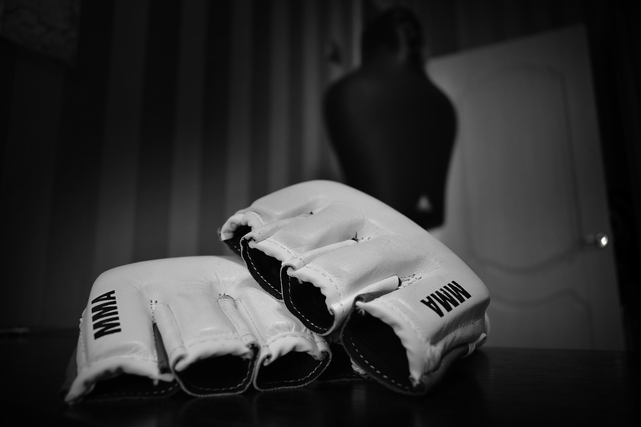 Gloves, fighter, fight, sports, martial arts, workout, hobby, pear, mma, mma, mma, mma, mma, mma
