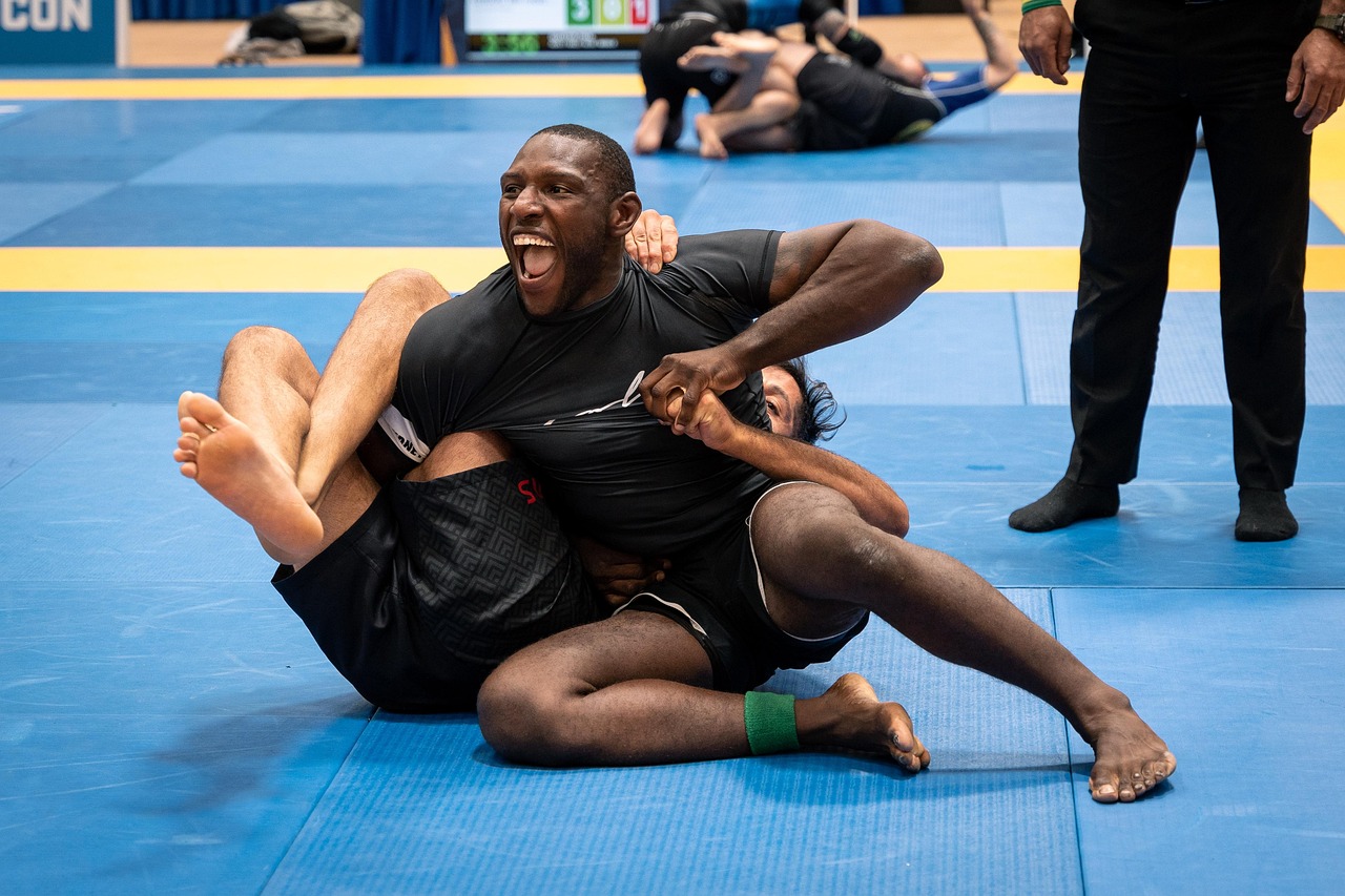 Men, jiu-jitsu, jujutsu, sports, athlete, fight, mma