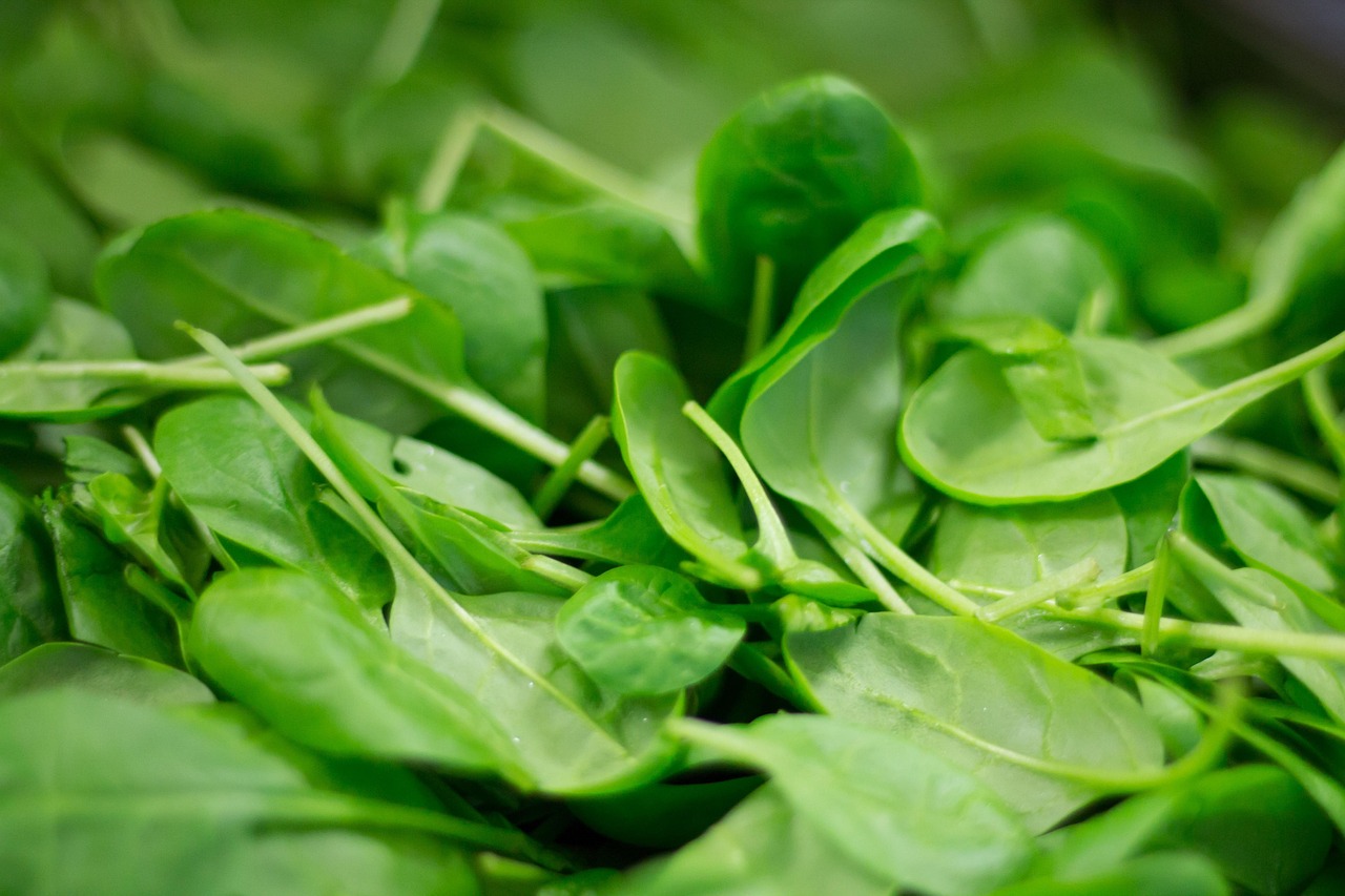 Spinach, plant, nourishment, meal, fresh, healthy, bio, food, vegetables, cook, nature, coloured, enjoy, yummy, vitamins, detoxify, naturally