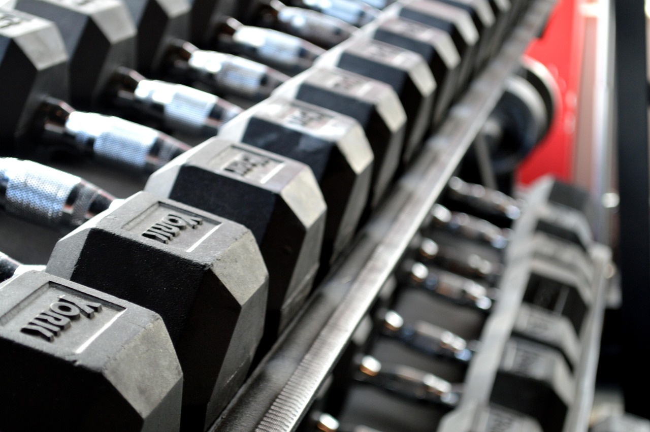 Fitness, weight lifting, dumbbells, exercise, gym, lifting, workout, fit, bodybuilding, athlete, strength, gray fitness, gray gym, gray exercise, gray workout, gym, gym, gym, gym, gym