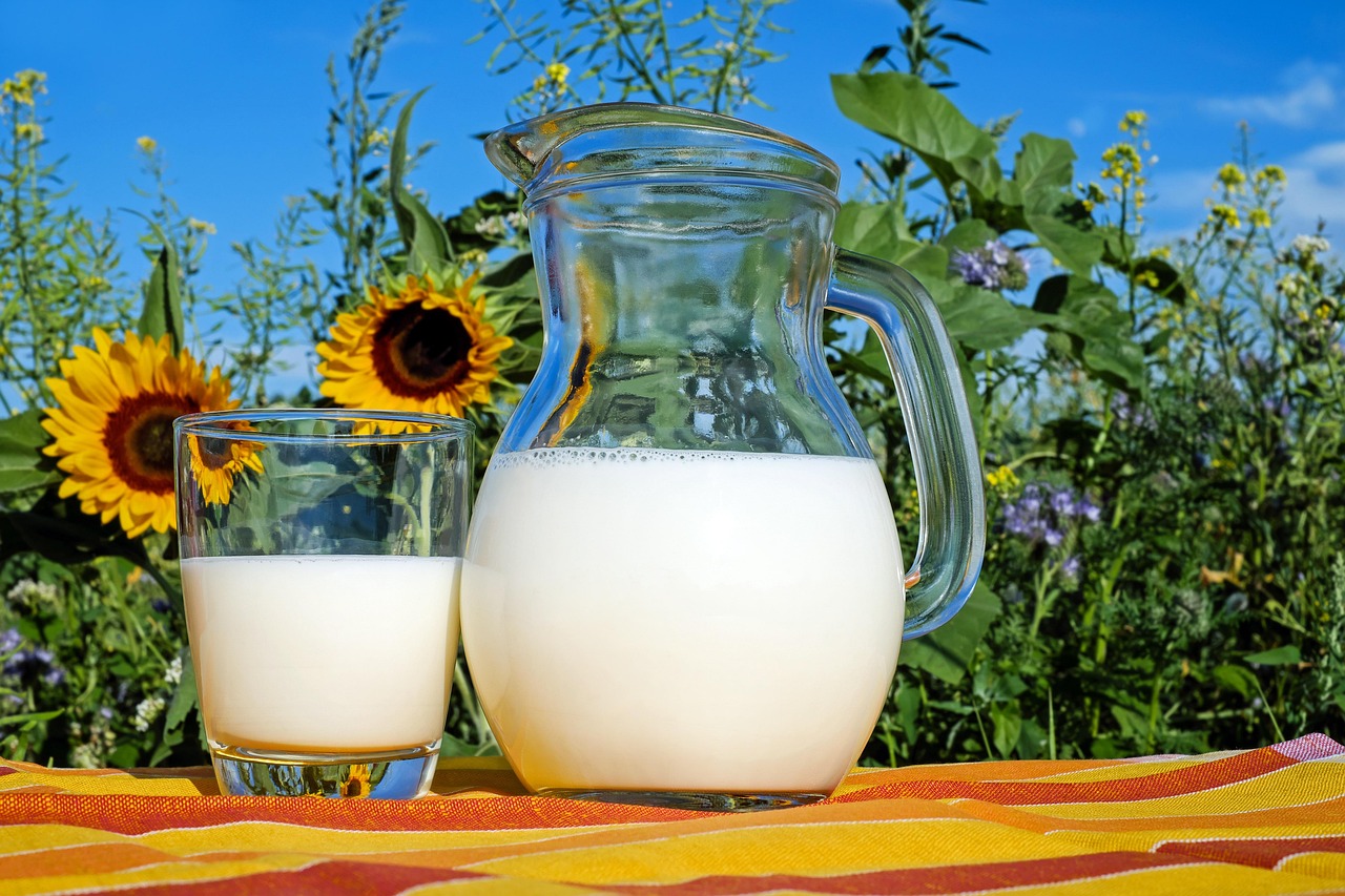 Obstacle Course Racing Nutrition and Supplements: What to Eat and What Works