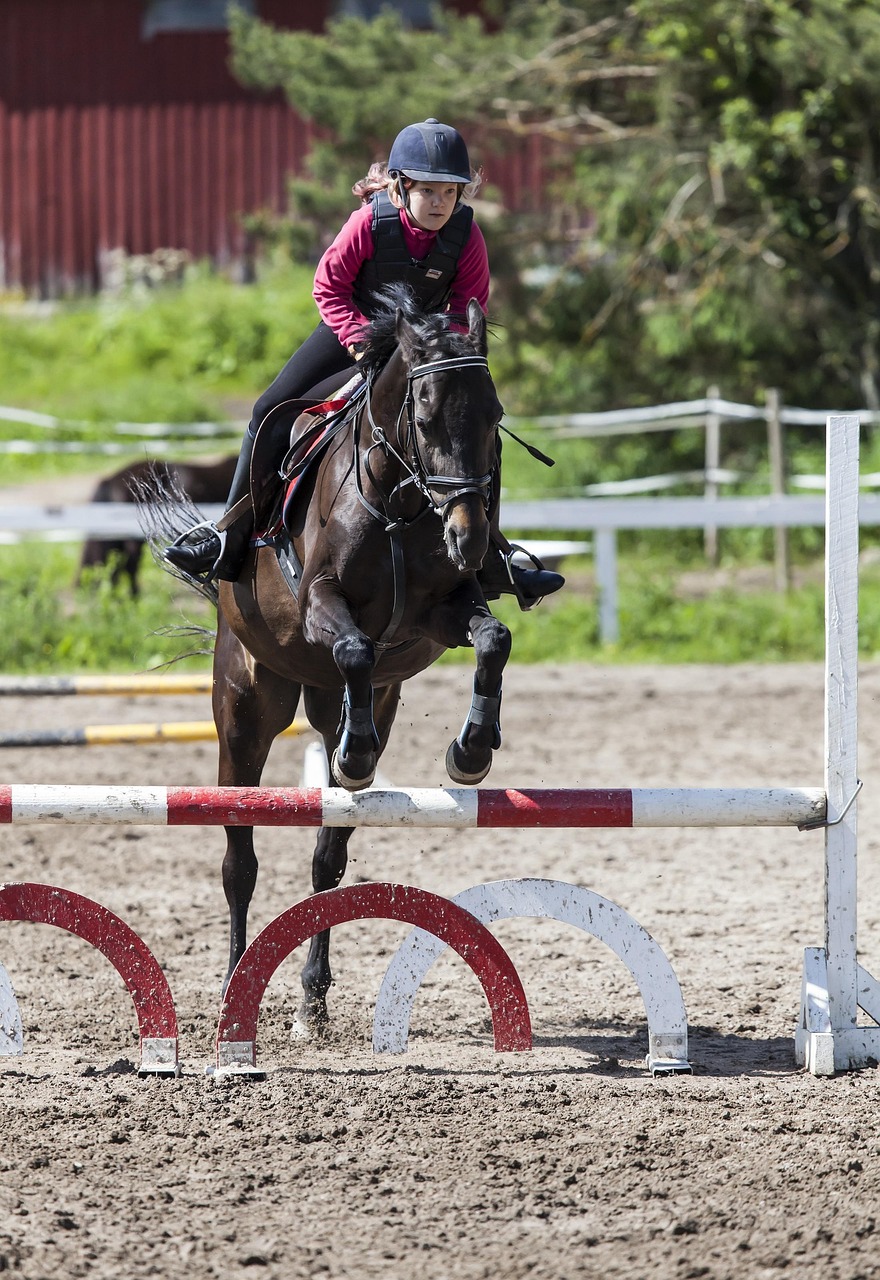 Obstacle course, riding, nature, show jumping, horse, girl