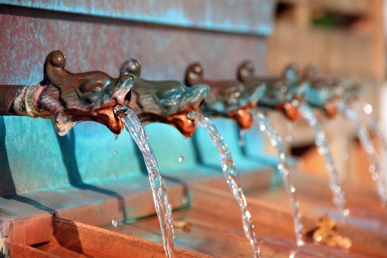 Water, fountain, nature, water fountain, drinking fountain, gargoyle, bad salzuflen, germany