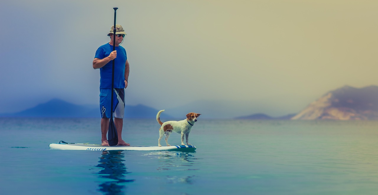 Standup paddleboarding, man, dog, nature, friendship, companion, pet, owner, paddleboard, paddle, together, stand, standing, ocean, person, sea, surfboard, water, leisure, hobby, animal, outdoors