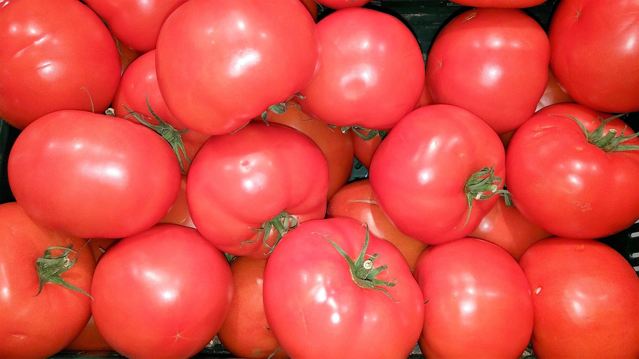 Tomatoes, fresh, food, vegetables, red, meal, healthy, enjoy the meal, yummy, mozzarella, salad, basil, tomato and mozzarella salad, market, cheese, tomato mozzarella, vine tomatoes, vitamins, italian