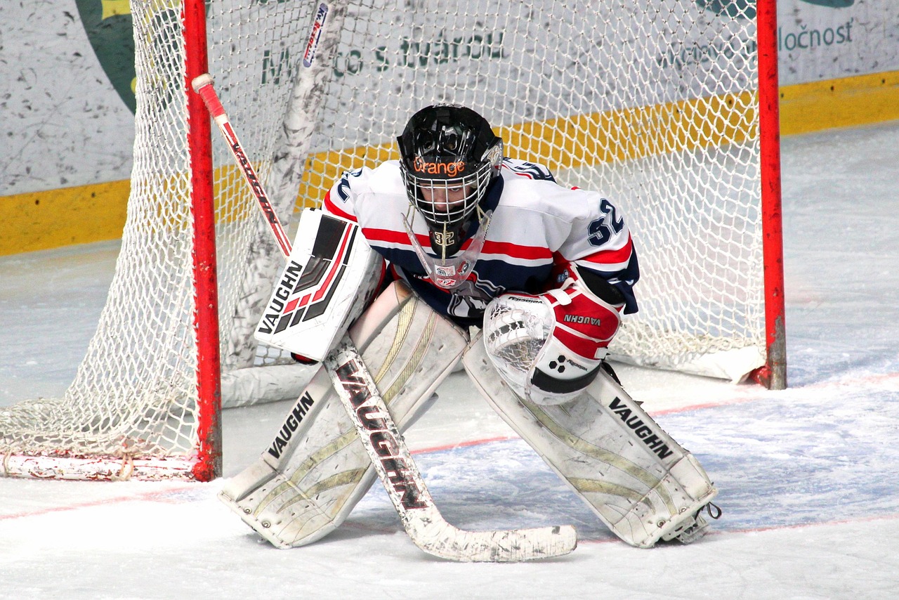 Hockey, goalkeeper, buly, ready, sports, helmet, mask, puck, gate, roller skating, arena, competition, play, he plays, skates, athlete, hockey player, children, pupils, ice, ice skating rink, young, f