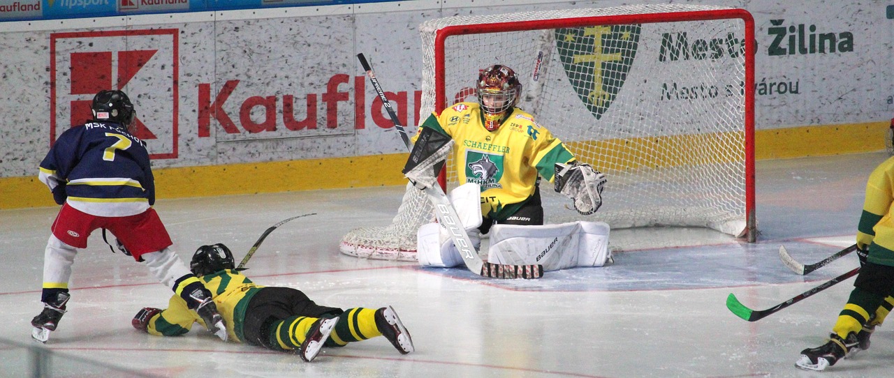 Hockey, goalkeeper, action, attack, hockey player, player, pupils, children, sports, helmet, mask, competition, puck, roller skating, team, he plays, skates, play, arena, ice, ice skating rink, teams,