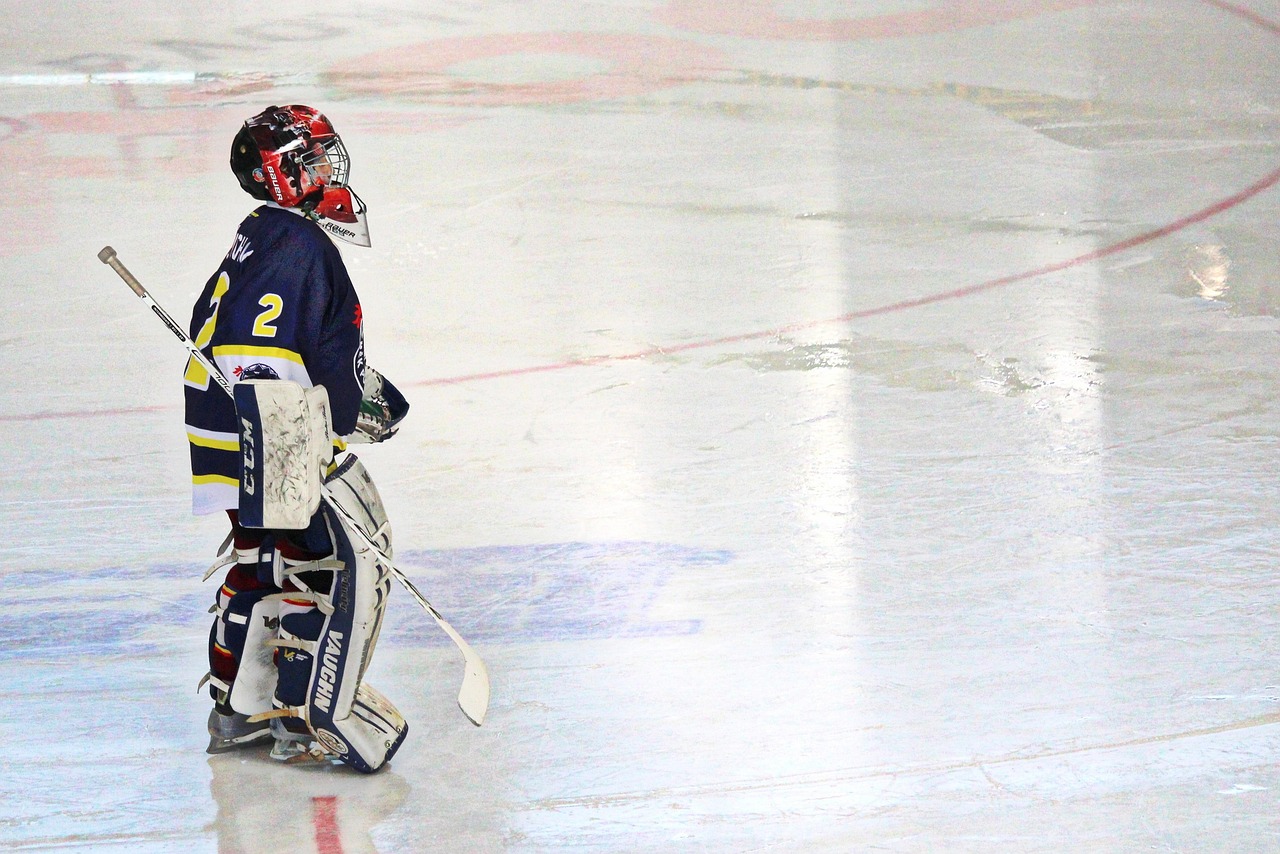 Hockey, goalkeeper, children, pupils, hdr, helmet, ice, ice skating rink, stadium, slovakia, mšk púchov, skates, roller skating, goalie gear, hockey goalie, hockey, hockey, hockey, hockey, hockey