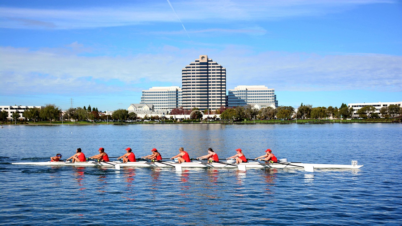Sports, foster city, rowing, rowing 8, regatta, california, competition, nature, outside, race, sea, boats, san francisco