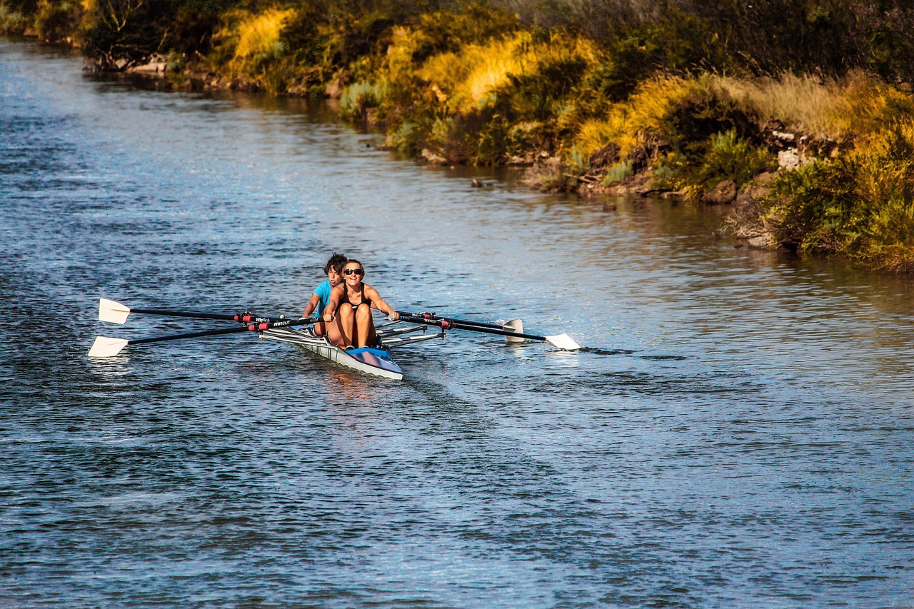 Rowing, rowing boat, water, river, canal, sport, boat, canoeing, channel, nature, water sports, bank, women, paddle, rowing, rowing, rowing, rowing, rowing, sport, boat, canoeing, canoeing, women