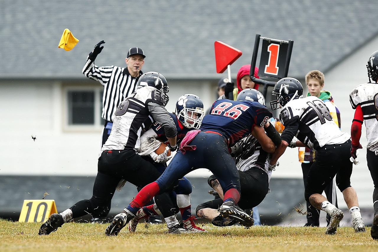 Football, american football, play, competition, defense, running back, block, blocking, sport, nature, referee, football referee, penalty, penalty flag, tackle, football game, game, team, teamwork, hi