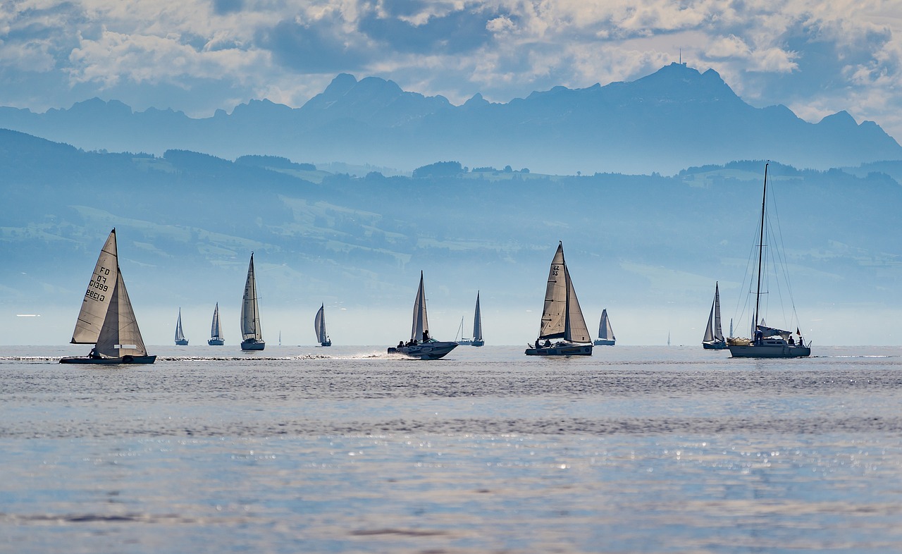 Sailboats, regatta, lake constance, sailing, sport, ships, sailing, sailing, sailing, sailing, sailing, sport, ships, ships
