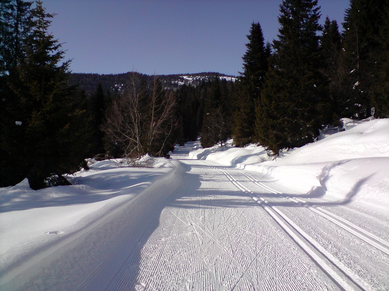 Cross-country trails, nature, cross-country skiing, cross-country ski run, cross country skiing, winter landscape, sense, snow, winter sports, sports