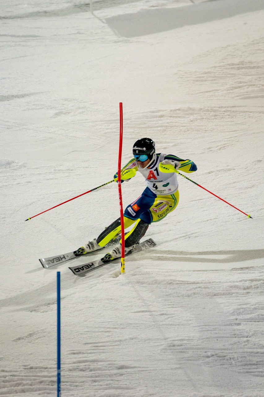 Competition, hurry, run, sports, quickly, slalom, night race, skiing, ski, slalom, slalom, slalom, slalom, slalom, skiing