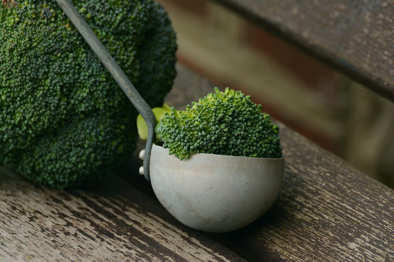 Broccoli, vegetables, healthy, cook, nourishment, fresh, vegan, green, green vegetables, vegetarian, meal, vitamins, food, broccoli, broccoli, broccoli, broccoli, broccoli