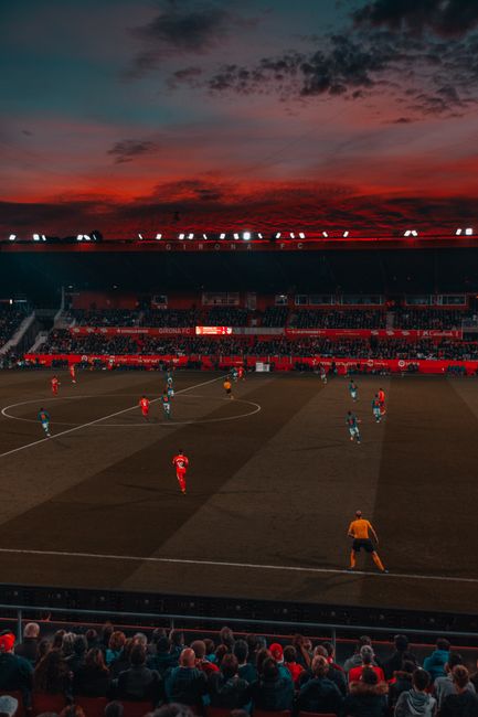 Soccer Leagues and Associations: From FIFA to Your Local Club
