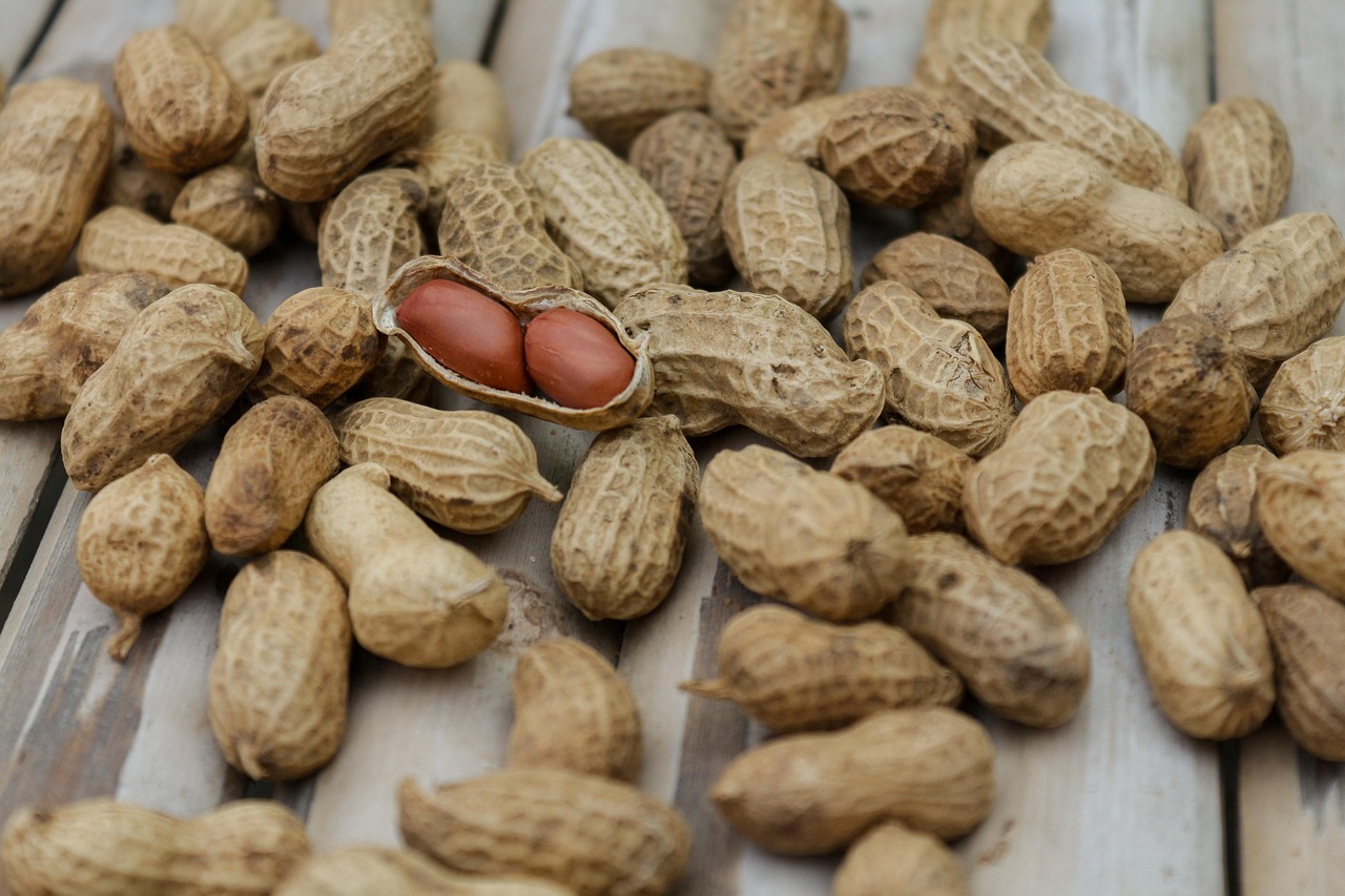 Peanuts, nuts, food, diet, macro, nutrition, nutshell, pod, protein, shell, snack, peanuts, peanuts, peanuts, peanuts, peanuts, nuts, nuts