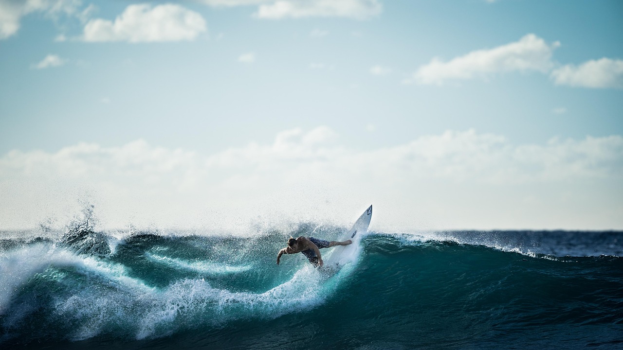 Surfing, surfer, wave, ocean, sea, water, sports, fitness, active, activity, extreme, blue fitness, blue water, blue sea, blue ocean, blue workout, blue sports, blue wave, nature, blue waves