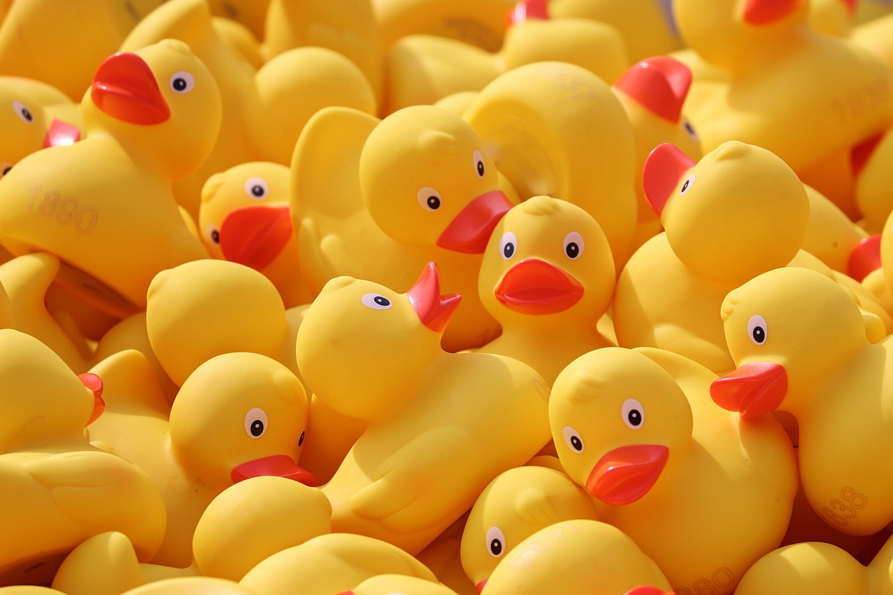 Duck meet, ducks, rubber ducks, plastic ducks, duck race, competition, toy, yellow duck, run, bath duck, family reunions, lots, yellow, toy ducks, event, rennwetbewerb, swimming competition, race, duc