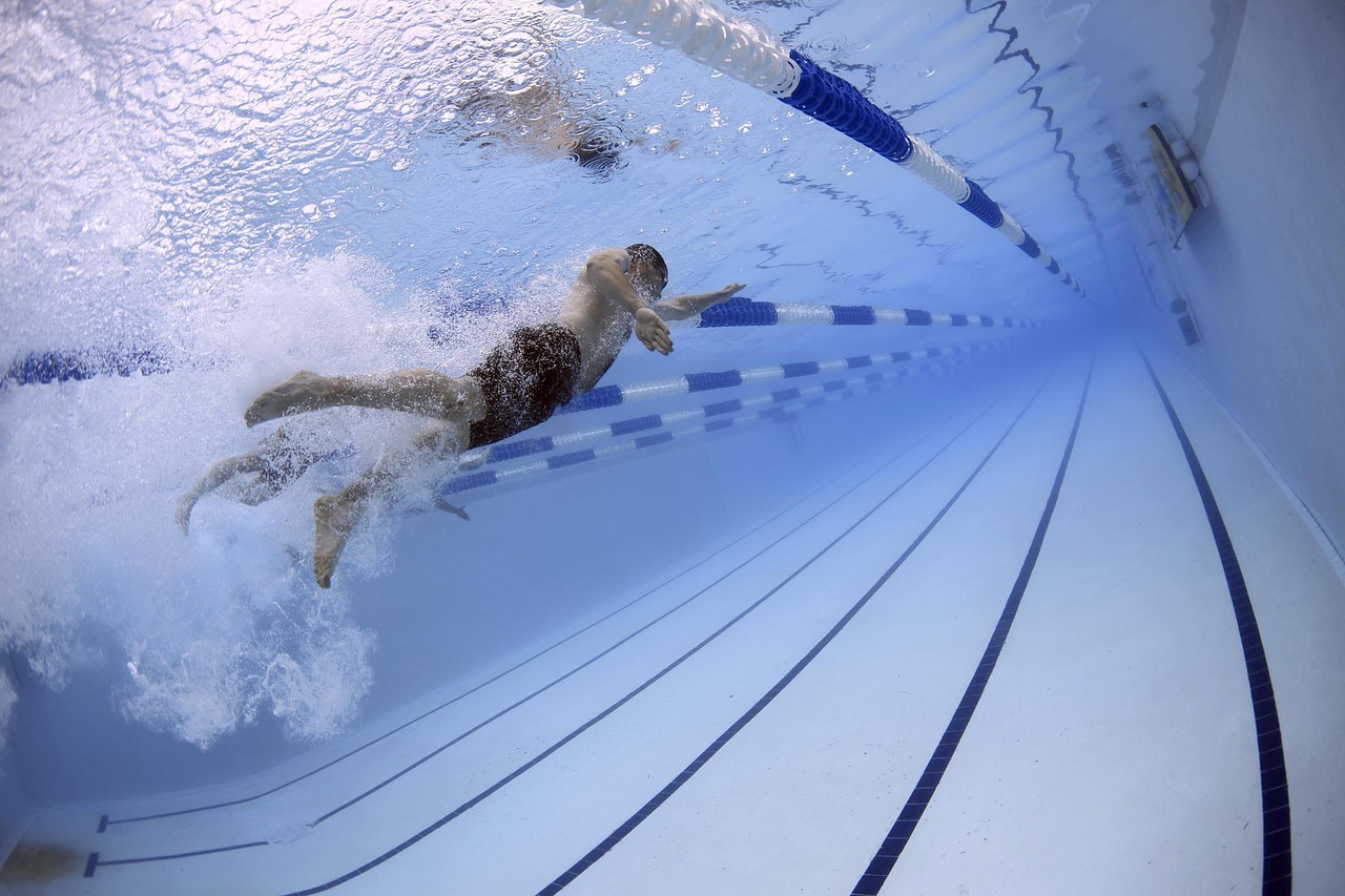 Swimmers, swimming, pool, olympic pool, race, competition, water, lanes, sports, nature, water sports, athletes, athletic, olympics, underwater