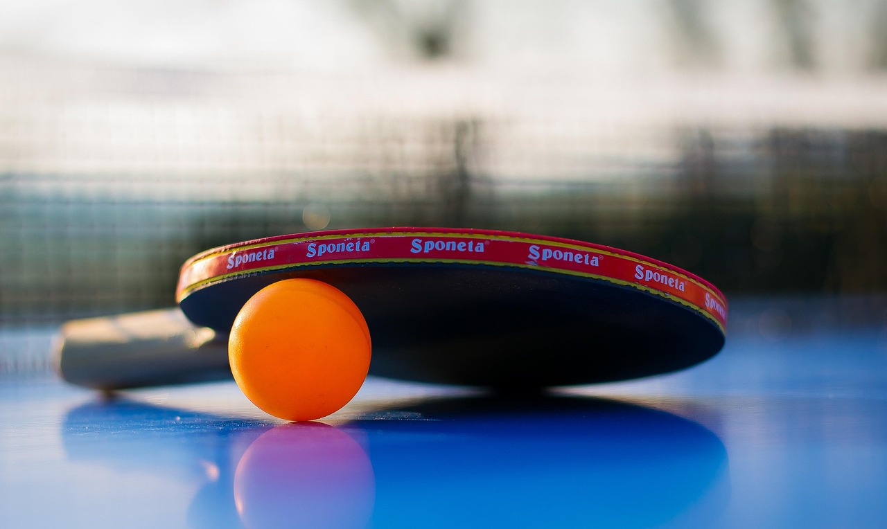 Sports, ball, leisure time, game, table tennis, ping-pong, to play, fun, nature, game device, summer, tennis sports, tennis