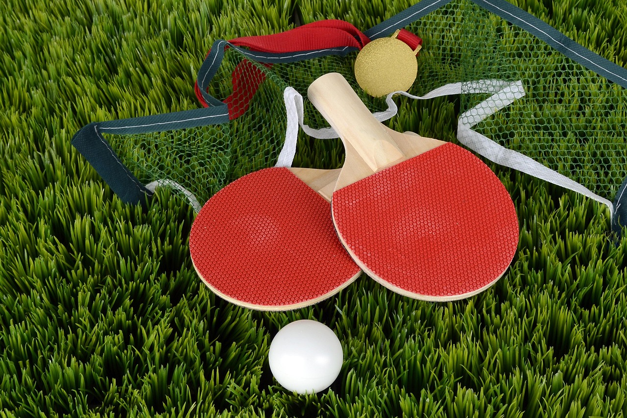 Table tennis, ping-pong, bat, table tennis racket, sports, to play, game, paddle, sport, web, lawn, red, white, green, wood, competition, game device, medal, gold, table tennis, table tennis, table te